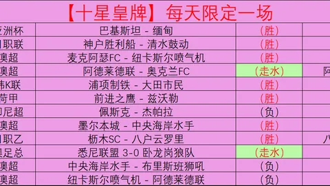 曼联生涯遗憾未尽全力，阿莫林接班难解球队困境